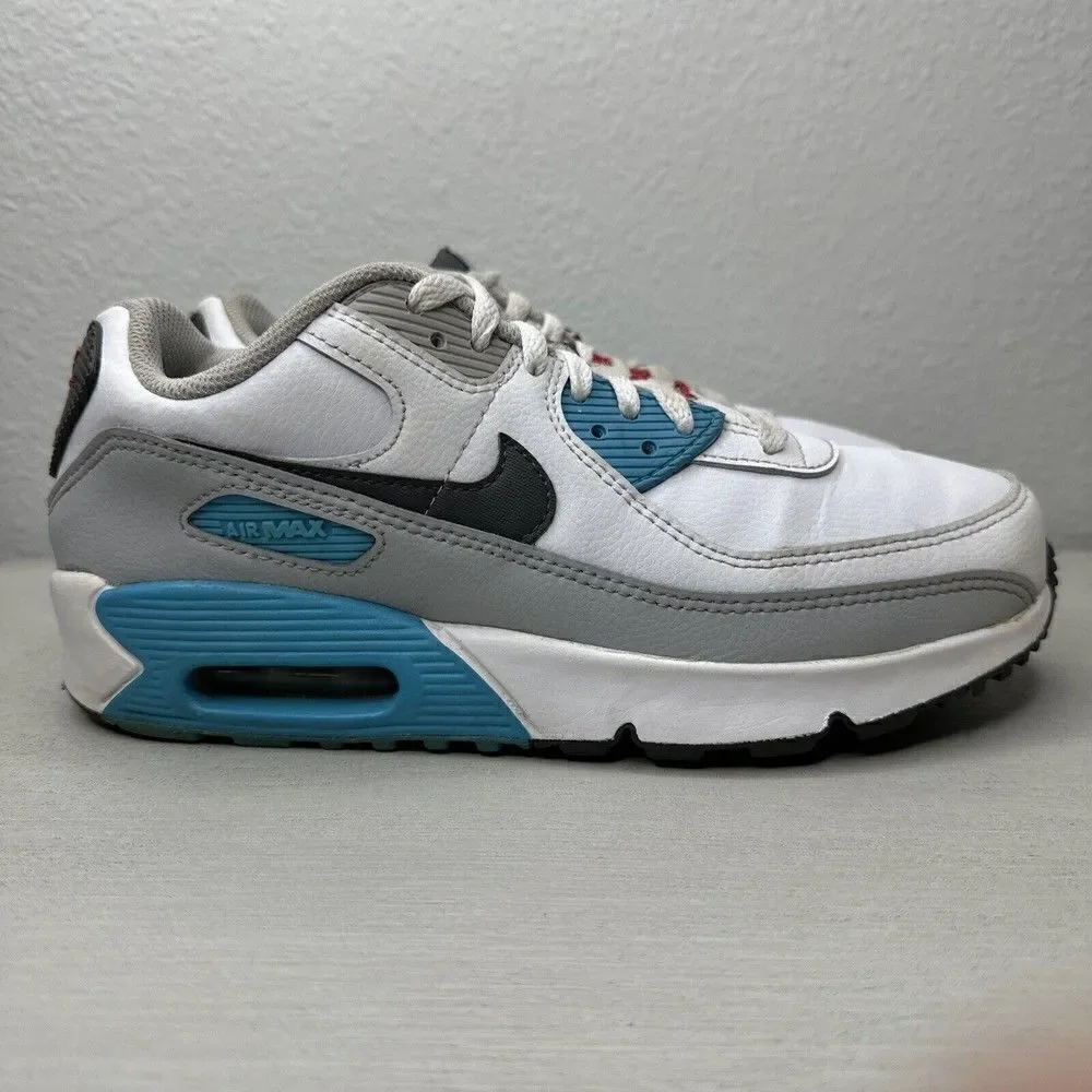 Nike Air Max 90 LTR Shoes